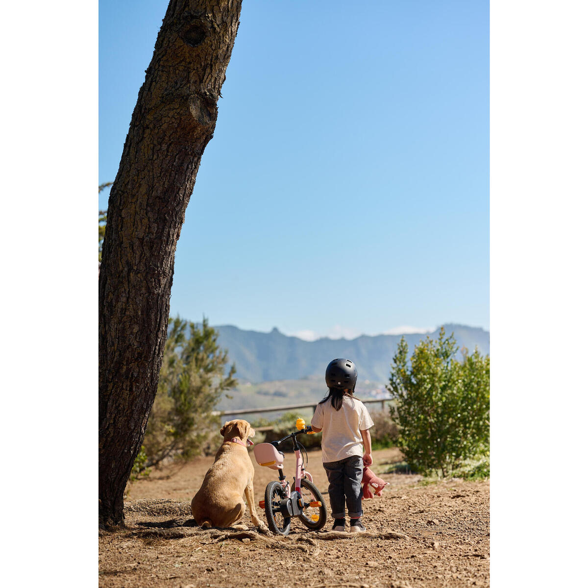 Vélo Enfant 2EN1 DRAISIENNE 3-5 ANS 14" DISCOVER 500