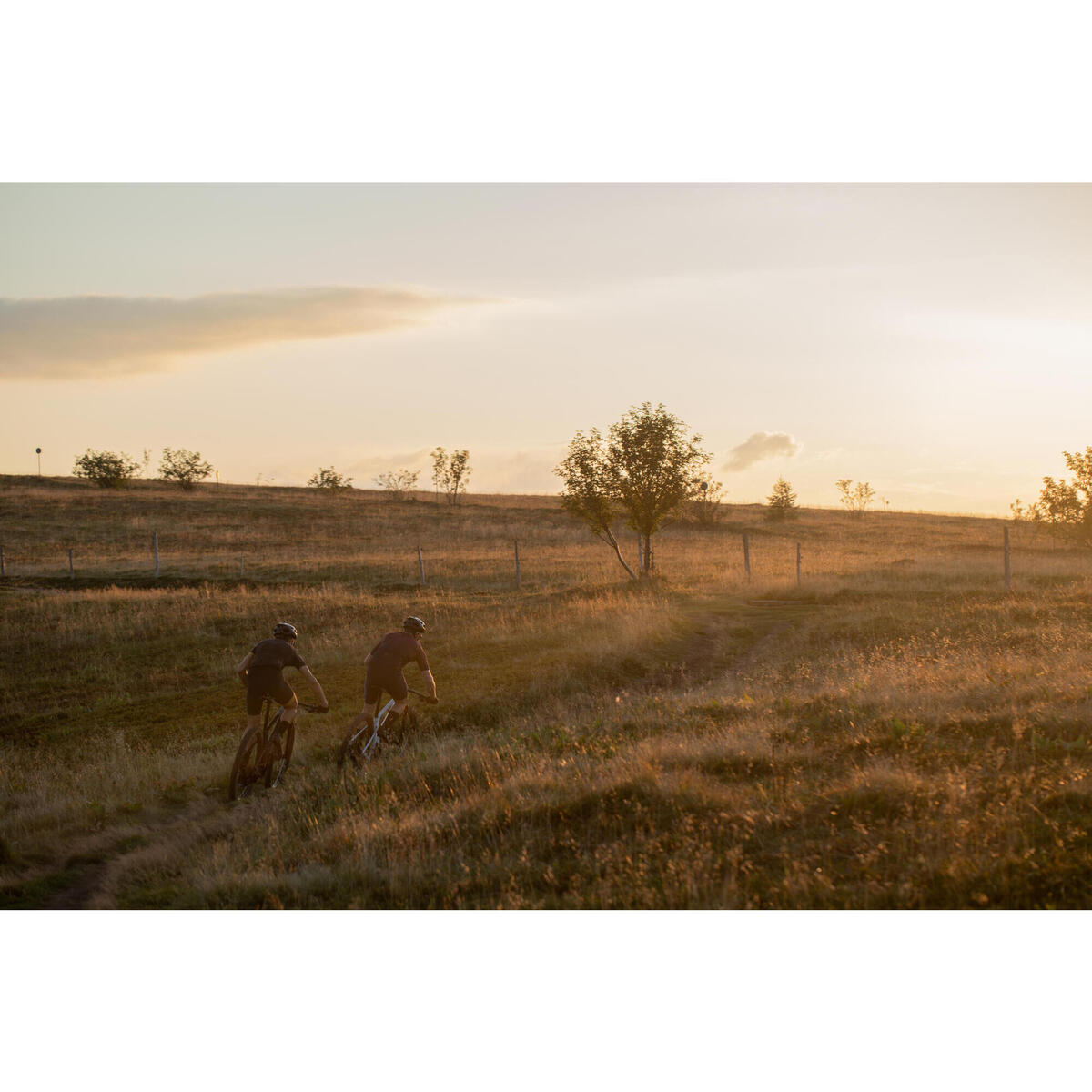 VELO VTT cross country RACE 900 GX Eagle roues Reynolds carbone