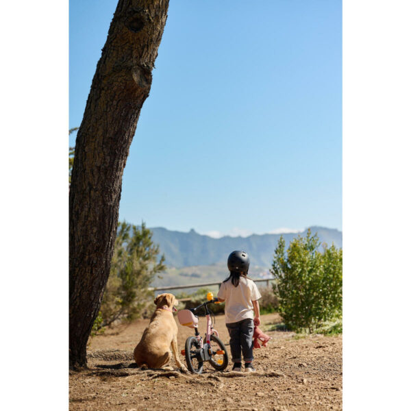 velo-enfant-2en1-draisienne-3-5-ans-14-pouces-discover-500-rose_4 Vélo Enfant 2EN1 DRAISIENNE 3-5 ANS 14" DISCOVER 500