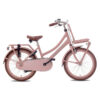 Vélo Enfant Valetta Cargo Filles 20"