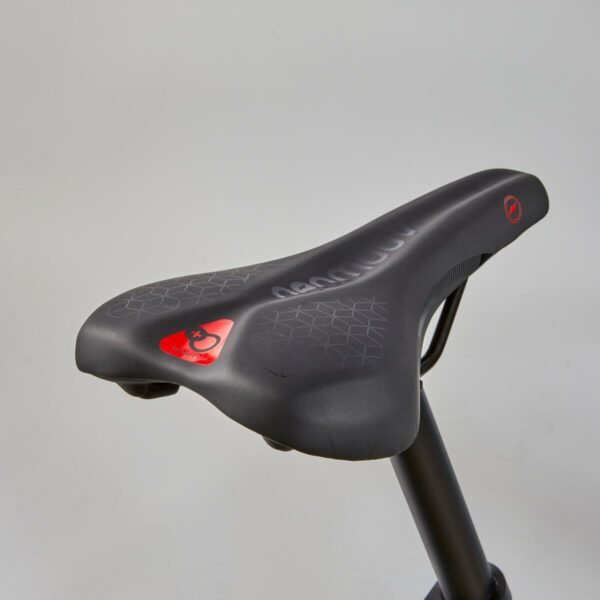 Vélo tout chemin électrique NEOMOUV RAIPON High Frame Bleu Métallisé