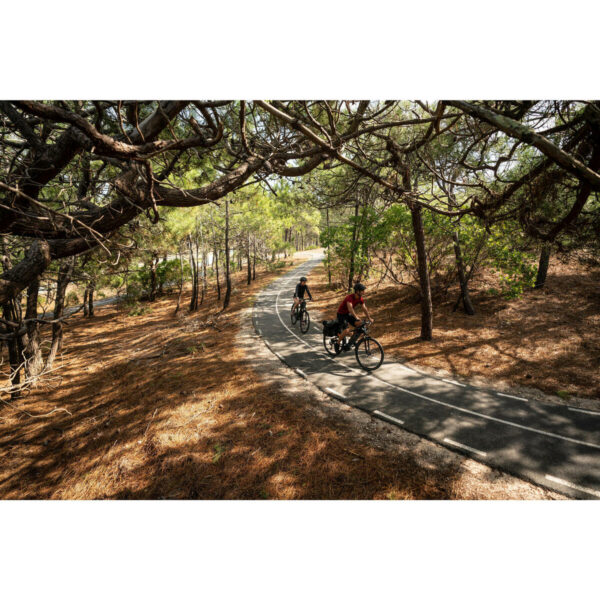 Vélo Tout Chemin électrique RIVERSIDE 540 E BLEU