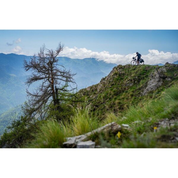 Vélo Tout Chemin RIVERSIDE 920
